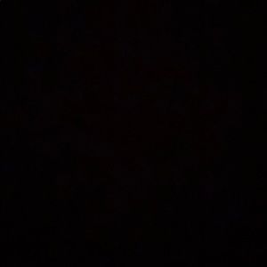 Meet your Posher, Savannah